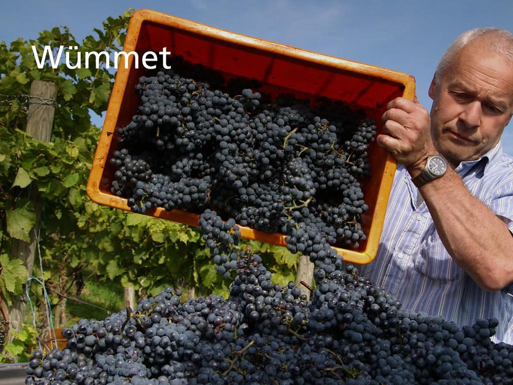 Kartause Ittingen Hotel Warth-Weiningen Kültér fotó