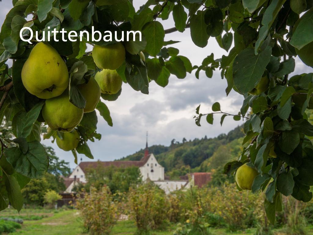 Kartause Ittingen Hotel Warth-Weiningen Kültér fotó