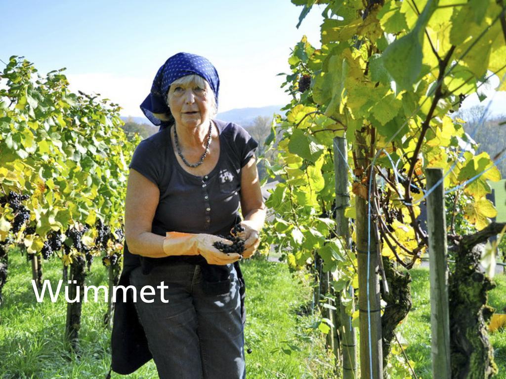 Kartause Ittingen Hotel Warth-Weiningen Kültér fotó