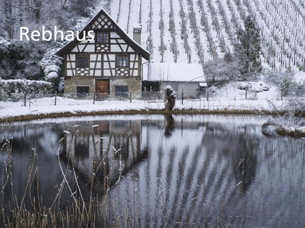 Kartause Ittingen Hotel Warth-Weiningen Kültér fotó