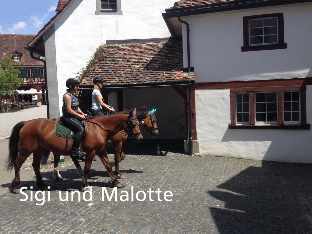 Kartause Ittingen Hotel Warth-Weiningen Kültér fotó