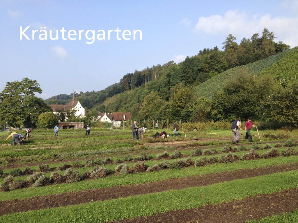 Kartause Ittingen Hotel Warth-Weiningen Kültér fotó