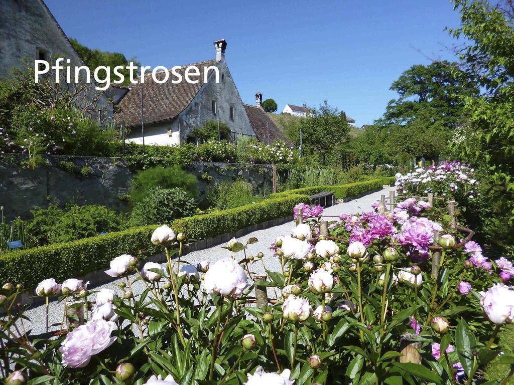 Kartause Ittingen Hotel Warth-Weiningen Kültér fotó